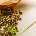 All About Cannabis Seeds: Why Buchanan Dispensary Is Your Go-To Source