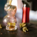 From Seed To Vape: Understanding Cannabis Seeds For Vaping In Nebraska