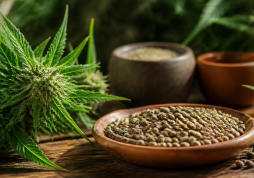 All About Cannabis Seeds: What to Know About Varieties and Personal Wellness